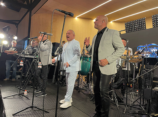 Grupo musical en concierto animado
